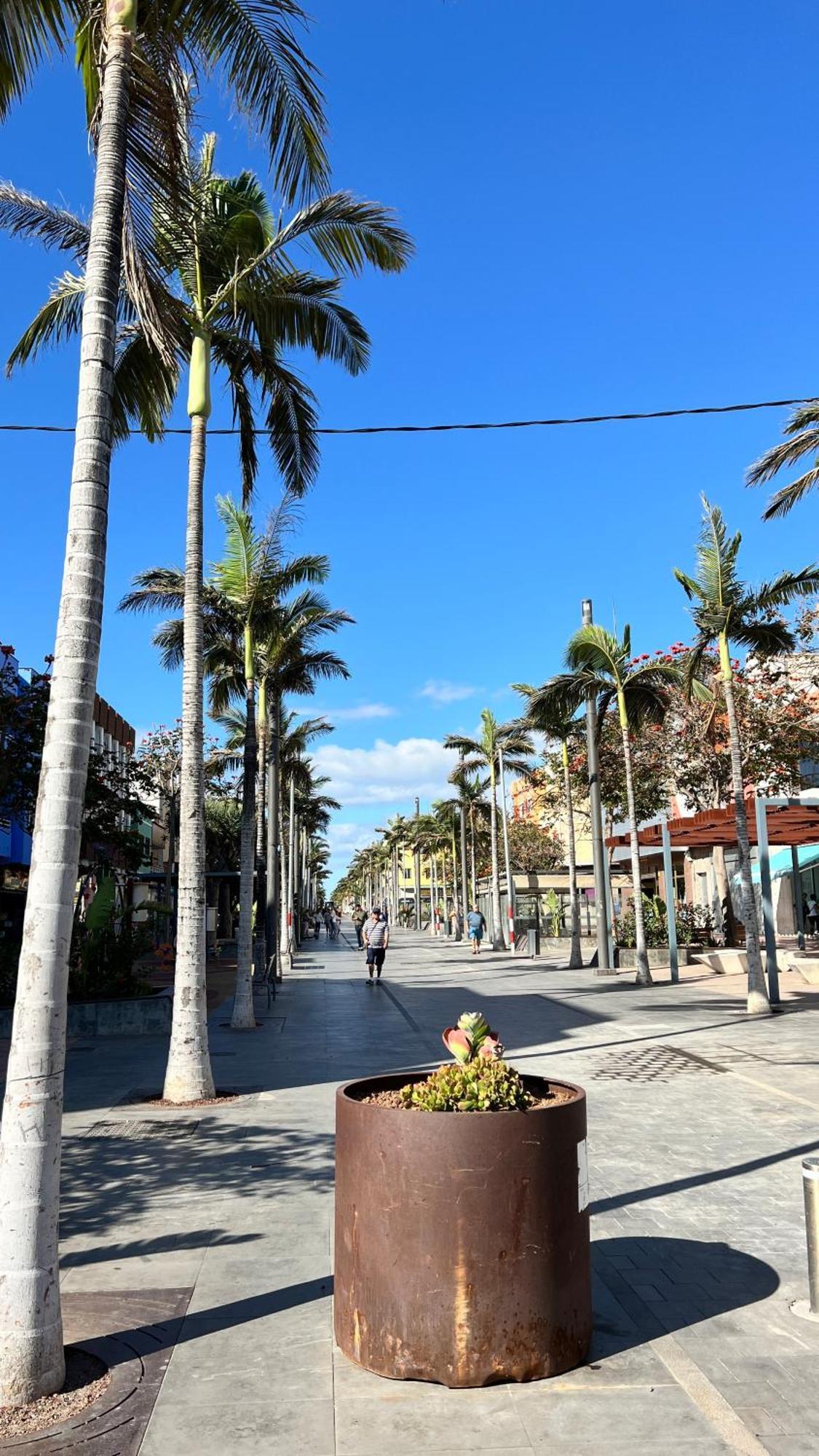 Mirame Canarias Vecindario  Bagian luar foto