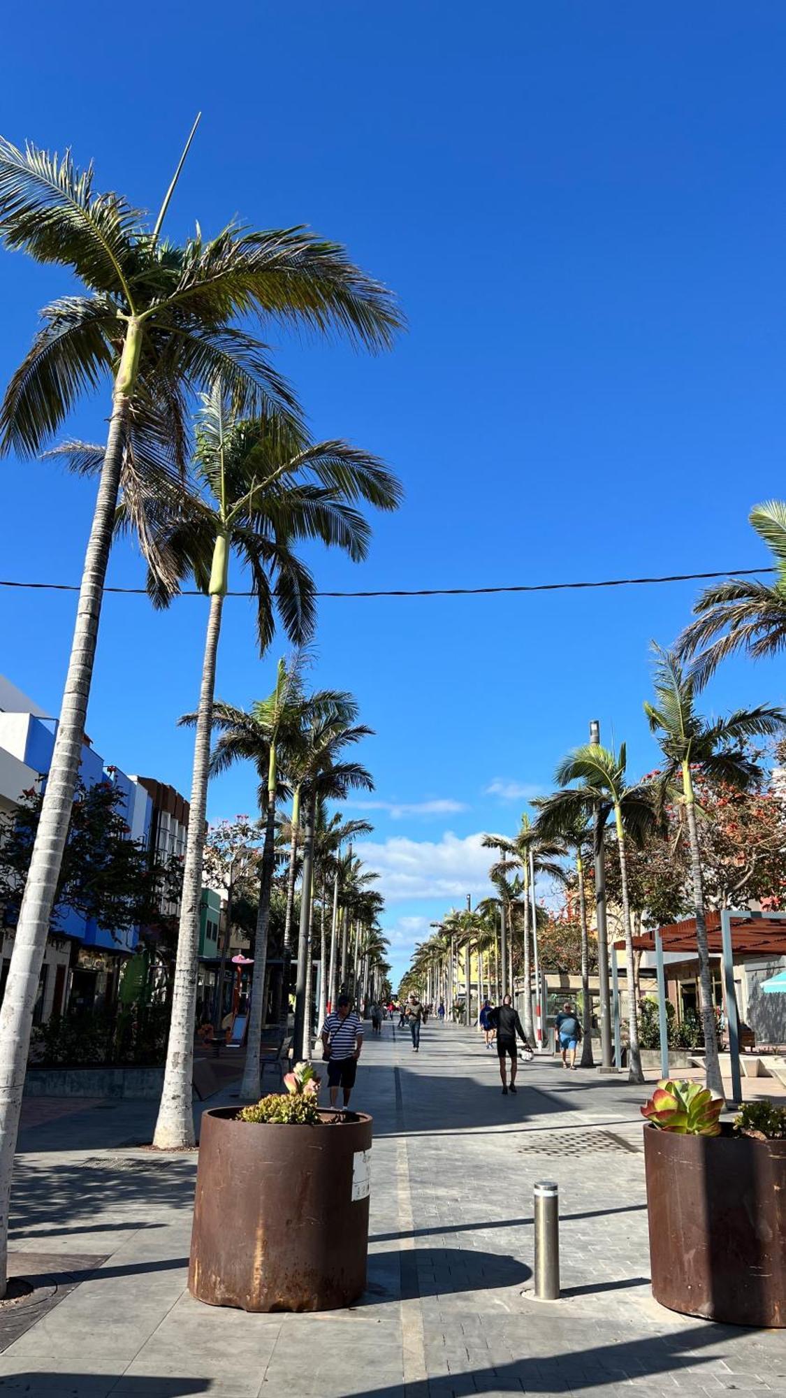 Mirame Canarias Vecindario  Bagian luar foto